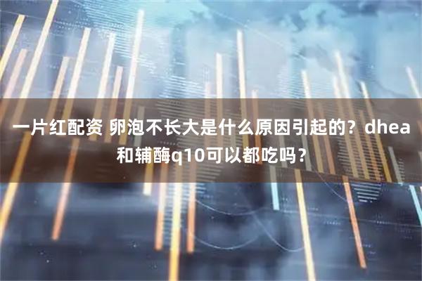 一片红配资 卵泡不长大是什么原因引起的？dhea和辅酶q10可以都吃吗？