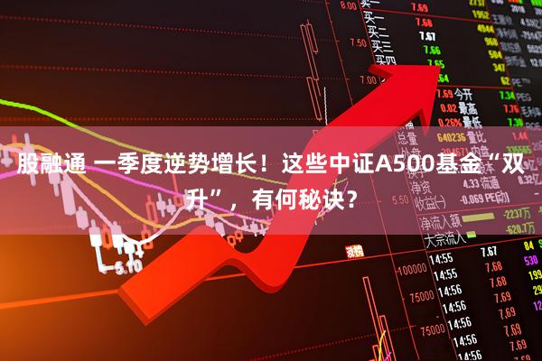 股融通 一季度逆势增长！这些中证A500基金“双升”，有何秘诀？